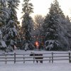 Winter sunset